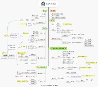 高一上学期政治知识点 高一上学期政治重点提纲