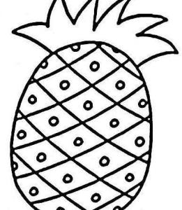 菠萝简笔画 菠萝图画作品_菠萝怎么画简笔画图片