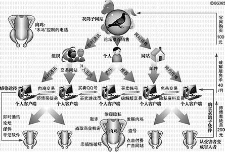 灰鸽子病毒 电脑病毒灰鸽子构成