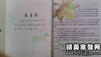 小学生读书笔记范文 初中学生读书笔记范文