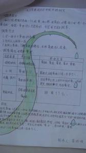 小学生调查报告范文 关于小学生调查报告范文