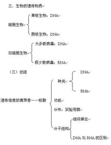 遗传信息的携带者核酸 高一生物必修1遗传信息的携带者-核酸测试试题