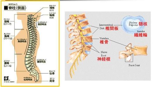 脊柱病有哪些治疗方法 脊柱疼的治疗方法有哪些 脊柱疼怎么治疗