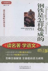 钢铁是怎样炼成的名著 读名著《钢铁是怎样炼成的》有感800字