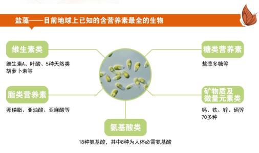 盐藻素的功效与作用 盐藻功效与作用