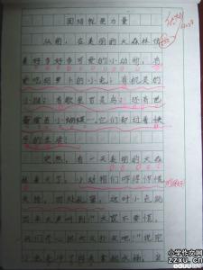 坚持的力量 优秀作文 坚持的力量优秀作文600字4篇