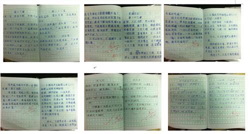 初中语文教学随笔 初中语文教学随笔_初中语文教学心得随笔