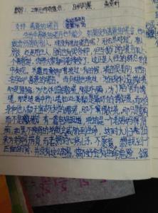 小学精彩生活作文：记一次精彩的辩论会