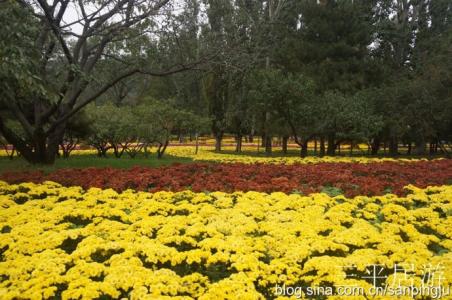 北京清明节旅游好去处 北京秋游的好去处，北京秋游去哪里