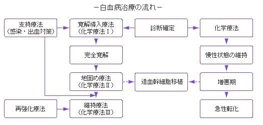 治疗白血病的方法 治疗白血病的常见方法是什么