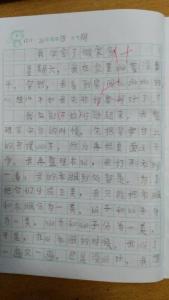 我学会了做家务作文 四年作文我学会做家务