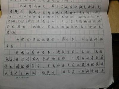 感人的故事作文300字 感人的事的作文300字