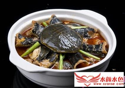 甲鱼汤的做法 甲鱼的好吃做法4种