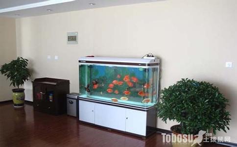 室内鱼缸摆放位置 室内摆放鱼缸的好处？室内鱼缸放什么位置好？