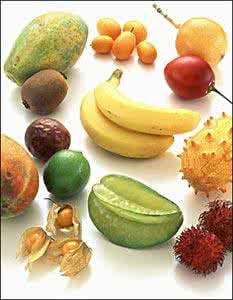 秋季养生的食疗方法 秋季食疗养生法