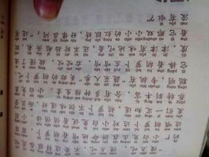 小兔子作文500字 小兔子的作文500字5篇