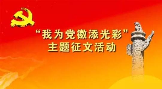 我为党徽添光彩 我为党徽添光彩两学一做征文