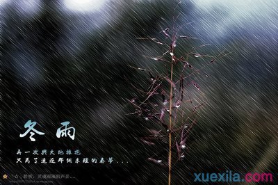 心情散文随笔 冬雨心情散文随笔3篇