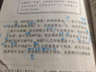 鱼我所欲也课文 初三语文课文《鱼我所欲也》教材视频