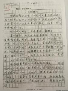 精彩瞬间作文600字 精彩的瞬间作文示例5篇