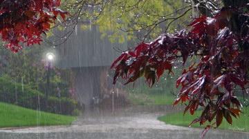下雨天问候语 下雨秋天早上问候语