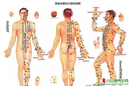 养生穴位按摩 人体9大养生穴，人体穴位按摩养生法