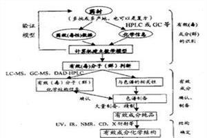 中药饮片炮制研究 中药炮制发展现状与研究思路