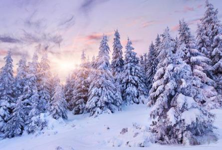 一篇优秀作文 写冬天的优秀作文5篇，关于冬天的作文