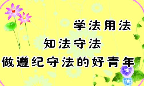 遵纪守法从我做起征文 遵纪守法从我做起征文2000字，遵纪守法从我做起2000字