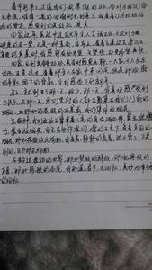 写春节的话题作文600字 关于春节话题的作文