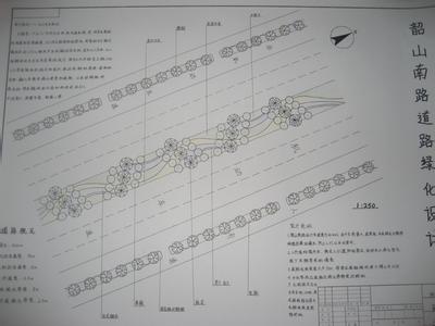 道路绿化施工方案范本 道路绿化施工合同范本，道路绿化施工合同