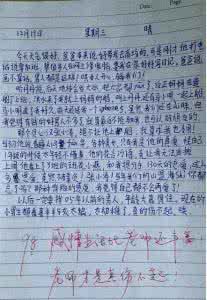 我的老师作文300字6篇 关于老师作文3篇