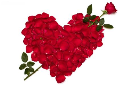 情人节送玫瑰花的含义 玫瑰花数量的花语 情人节玫瑰花数量的含义
