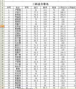 人大姓名笔划排序 excel03姓名安笔划排序的教程