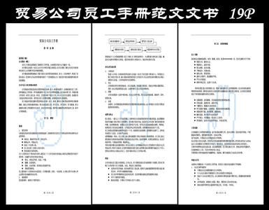 员工手册公示范文 小中型公司员工手册范文