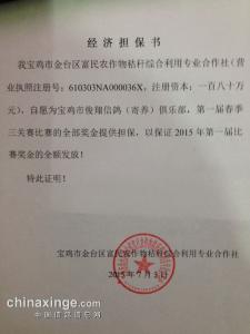 入职经济担保书 经济担保书
