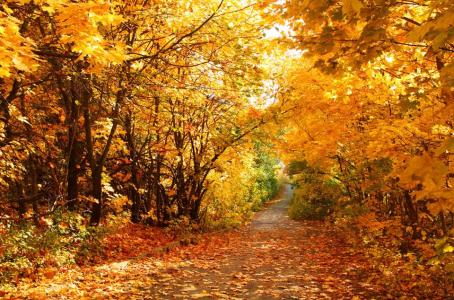 秋天散文诗欣赏 有关秋天的唯美散文欣赏