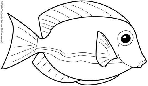 如何画热带鱼的简笔画：方法教程