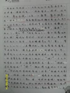 精选作文800字 等待作文800字精选4篇