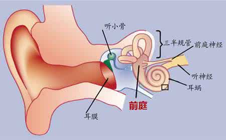 晕车是因为什么原因 晕车怎么回事