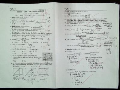 2016广东学业水平政治 七年级政治上册期末学业水平测试卷