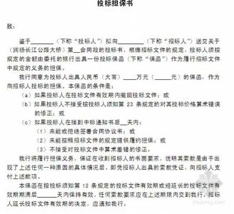 公司担保书格式 投标担保书格式