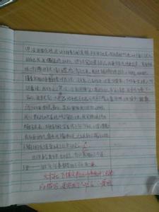 放风筝的作文300字1 放风筝的300字作文