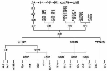 高一生物第二章组成细胞的分子单元练习