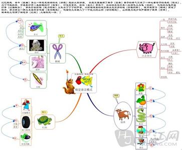 如何使用右脑记忆 如何正确使用右脑记忆发