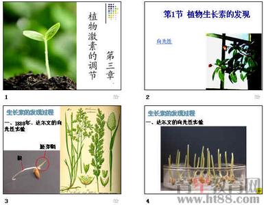 植物的激素调节教案 高一生物《植物的激素调节》教案