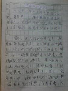 中秋节作文400字 中秋节作文范文