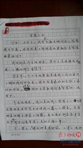 2011年重庆高考满分作文：独爱吃凉粉