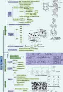 八年级生物学习方法有哪些