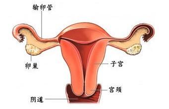 治疗慢性附件炎方法 慢性附件炎理疗方法